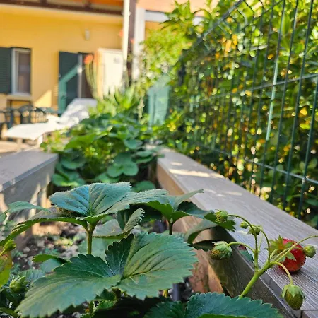 Solaira Capitolo By Monholiday Apartament